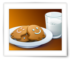 Privacy en het gebruik van Cookies