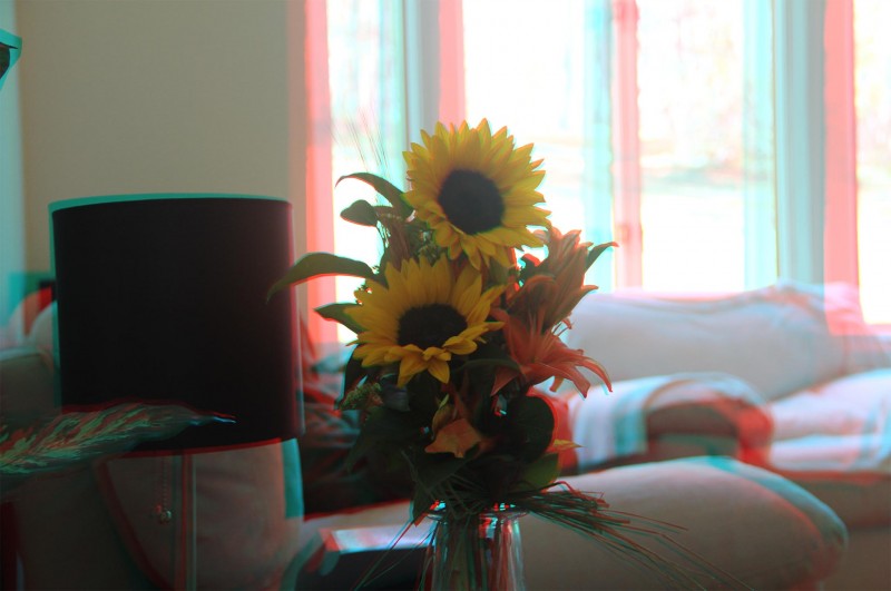 3D Foto met focus op de bloemen